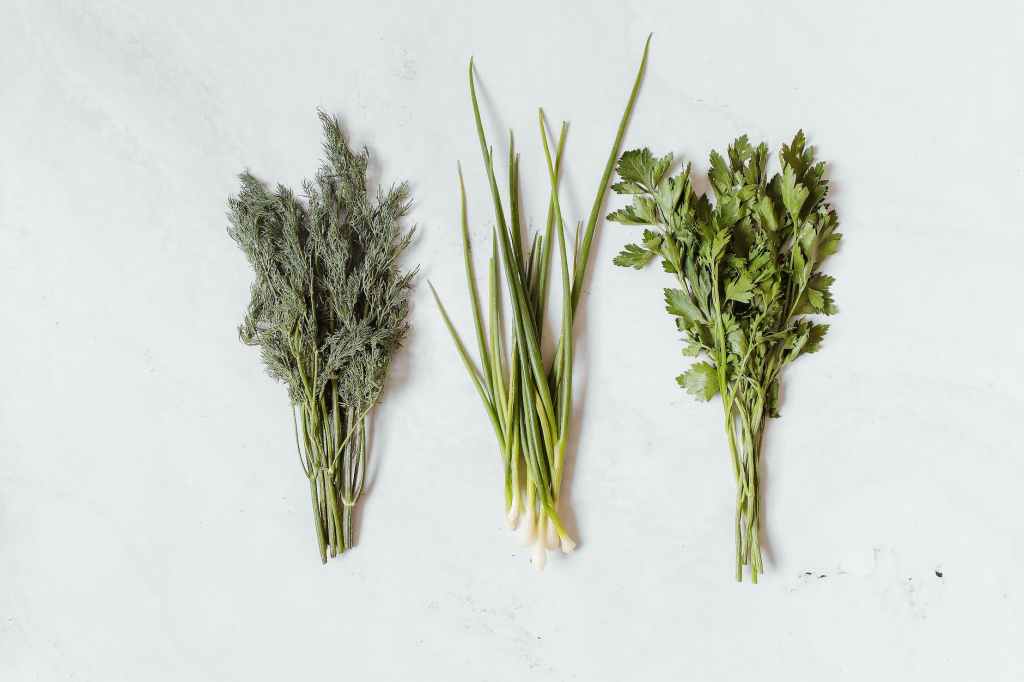 Magical Herbs: How to use Herbs in Witchcraft