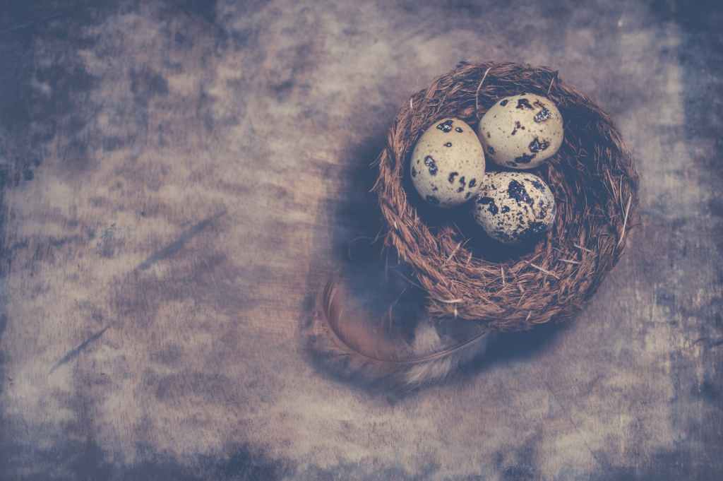Egg Cleanse Meaning: How to do an Egg Cleanse Ritual and Interpret the Meaning of the Results